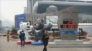 Nord- und Südkorea planen gemeinsames Team für Olympia screenshot 5