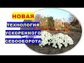 Новая технология ускоренного севооборота красиво и просто