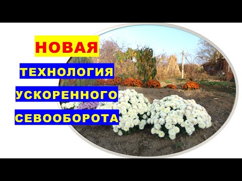 Video: Сирень бадалдарын өстүрүү боюнча кеңештер