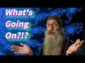 Channel &amp; Patreon Update!!  What's New For You?