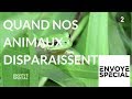 Envoyé spécial. Quand nos animaux disparaissent… - 3 mai 2018 (France2)