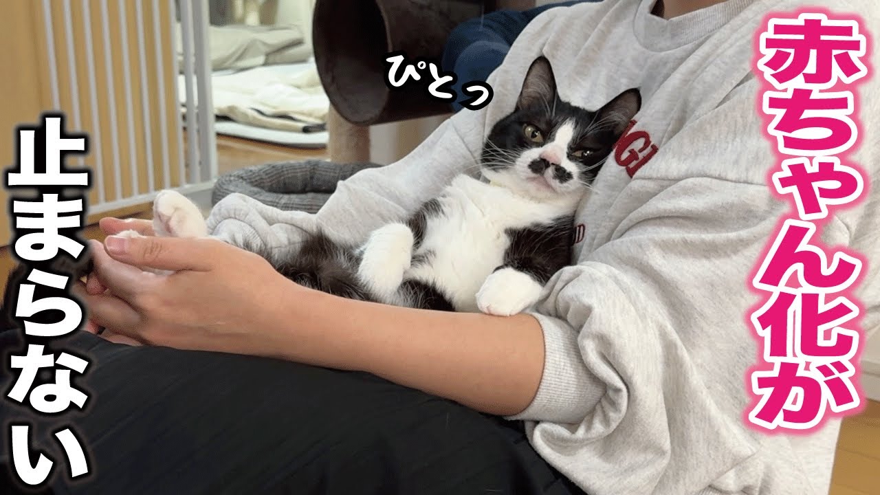 hq720.jpg?sqp=-
