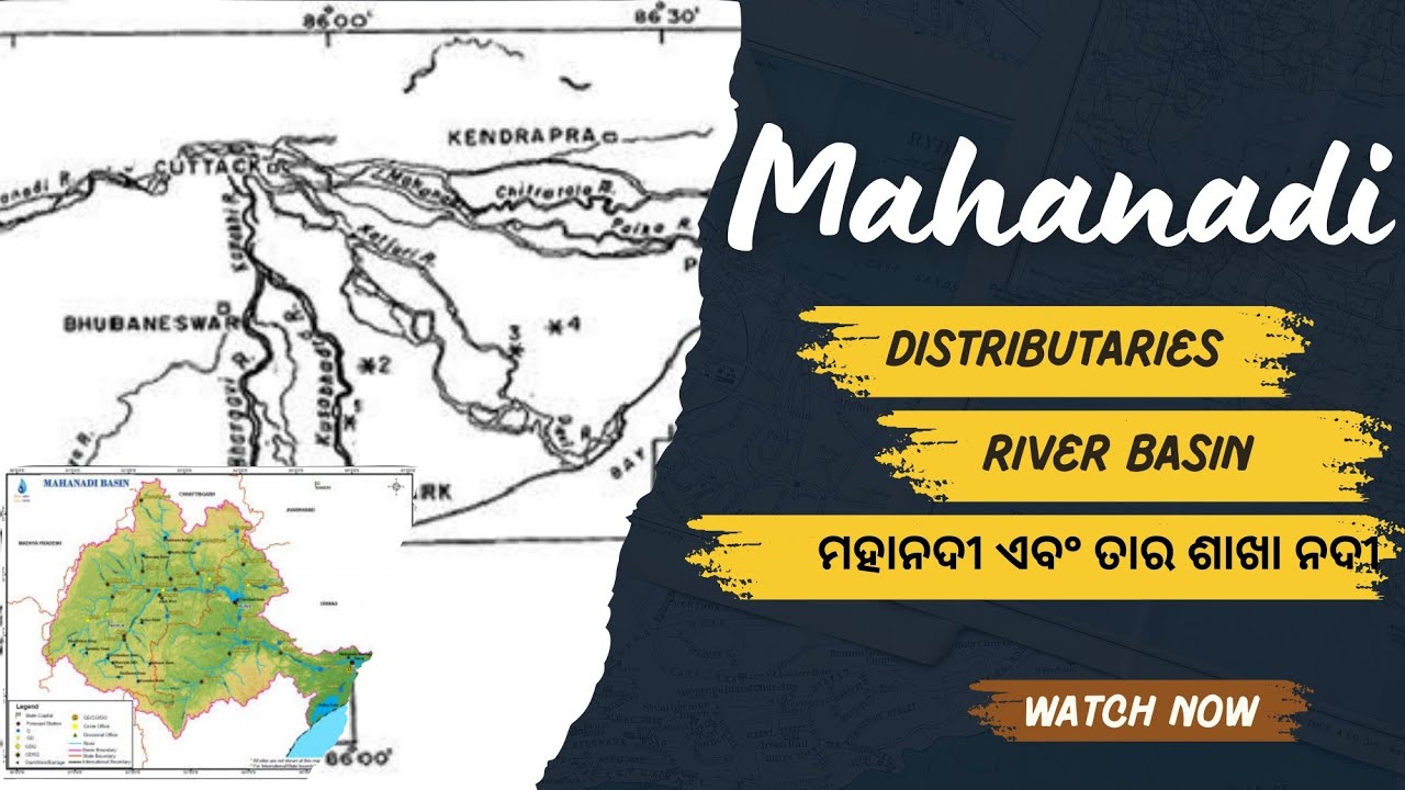 ମହାନଦୀ ନଦୀର ବିସ୍ତାର ତନ୍ତ୍ର: ଜାଣନ୍ତୁ ଅଜଣା ତଥ୍ୟ | Mahanadi River Distributary System Explained in Odia
