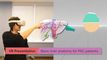 Basic liver anatomy for patients with Primary Sclerosing Cholangitis (PSC) | TVASurg