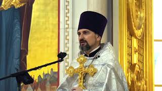 Проповедь протоиерея Михаила Селезнёва на воскресной литургии (15.01.23)