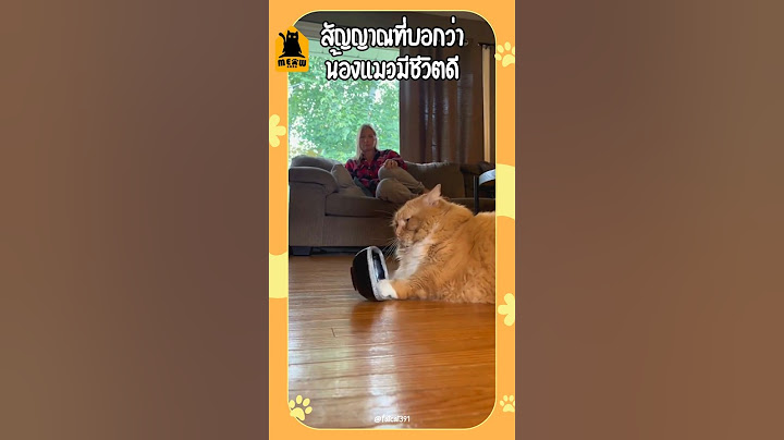 สัญญาณที่บอกว่าน้องแมวมีชีวิตดี #แมว #ทาสแมว #เลี้ยงแมว #meowbarn #เหมียวบาน