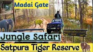 Satpura Tiger Reserve Jungle Safari | Madai Gate | National Park | #satpura #jungle #safari #vlog