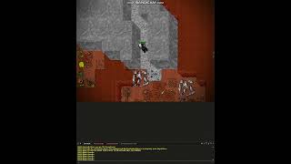 Realesta74 Rookgaard Minotaur Hell Path on Verdia