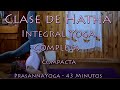Clase de hatha integral yoga completa y compacta  prasannayoga  43 minutos