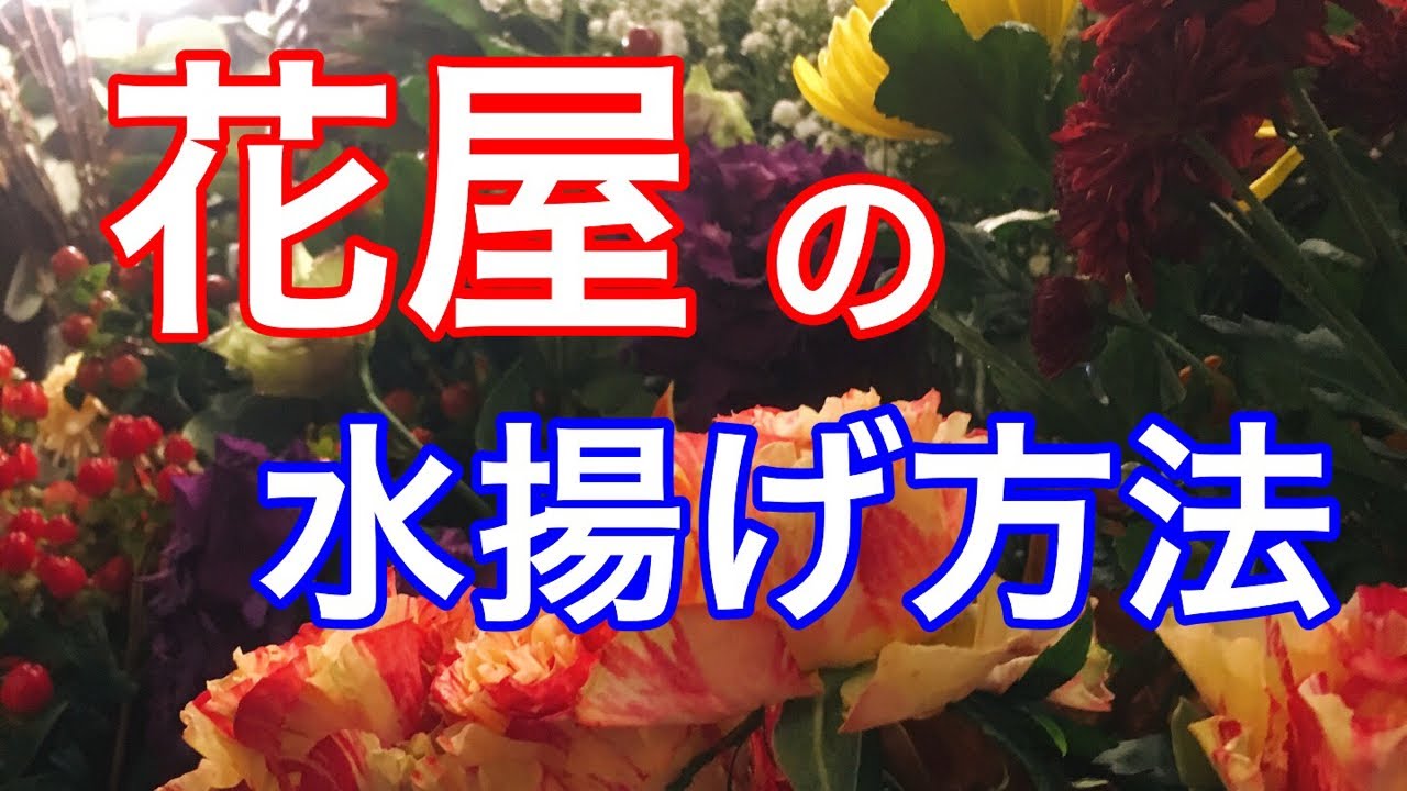 ライブ 花屋が教える花の水揚げ方法 お花の長持ちさせるにはこれが大事 吉祥寺の花屋 花心 Youtube