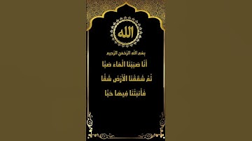 تلاوة مميزة للشيخ المنشاوي من سورة عبس