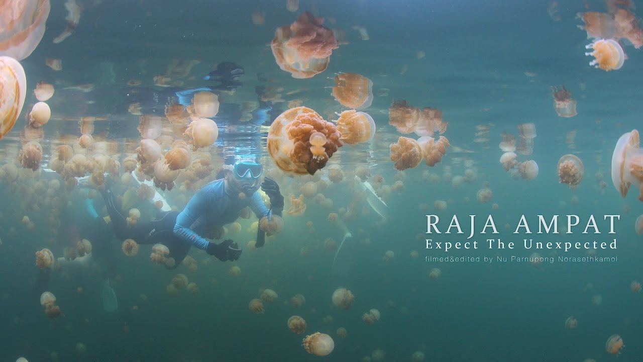 Raja Ampat | Expect the unexpected with Raja Manta Liveaboard 2017