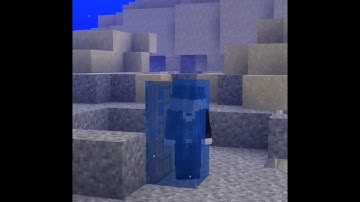 Java VS Bedrock Moments #minecraft