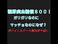 ガリガリに痩せてても糖尿病になる理由。痩せた女性の血糖値が高くなりやすい。血糖値８００で倒れる