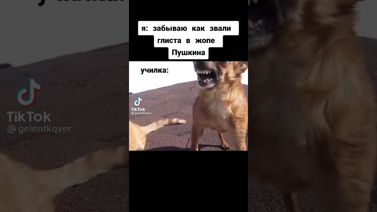 Почему в паразитах водитель убил хозяина
