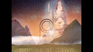 Neighsayer - My Little Miracle of the Universe
