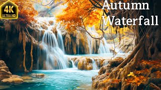 Enchanting Autumn Forests with Beautiful Piano Music🍁4K  Autumn Waterfall  & Fall Foliage by Enjoy Nature 58 views 6 months ago 24 hours