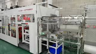 Rm-3 Thermoforming Machine Producing Live