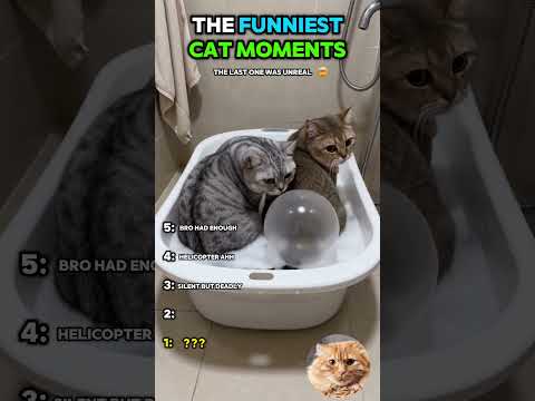 These Animal Moments Get Better EVERY SECOND 😭🐶🐱