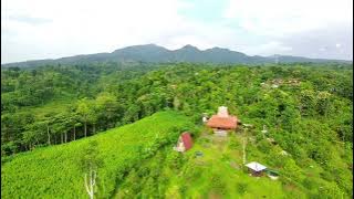 Kebun Durian AW Pak Agus Widodo, Gunungwungkal, Kabupaten Pati, Jawa Tengah