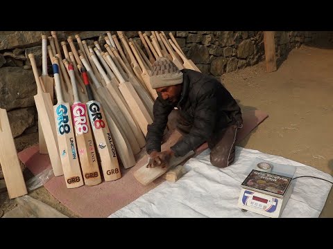 Kashmir's cricket bat industry faces crisis due to wood shortage