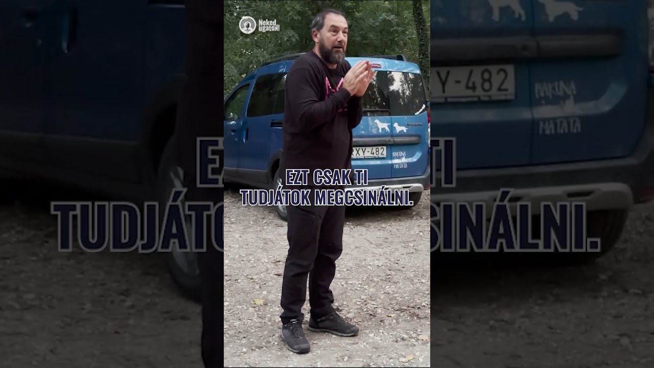 A kutya BEHÍVÁSA a könnyű rész.  