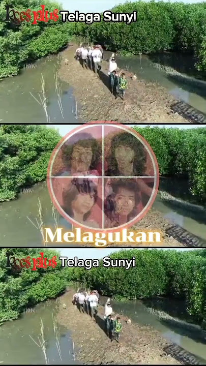 Telaga Sunyi - Koes Plus #koesplus #koesplusmania #koespluscomunity #videoshort #legend