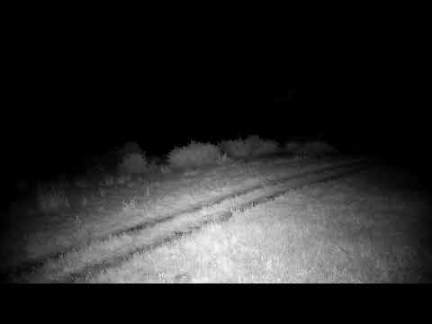 Djuma Private Game Reserve Live Stream