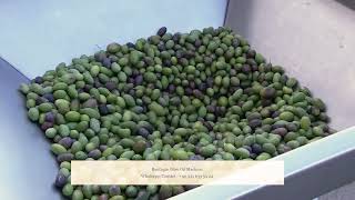 Boutique Olive Oil Machine - Cold Press Method / مكينة العصر زيت الزيتون