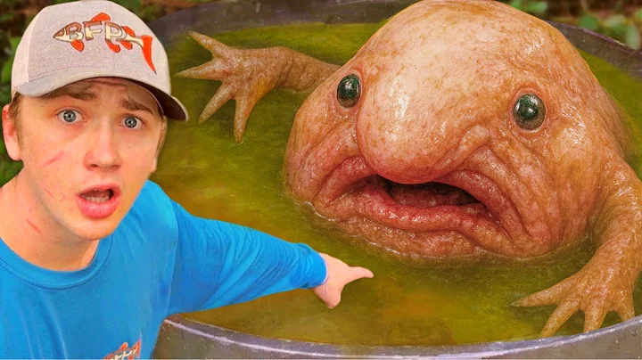 I Found a Secret Pond Full of Monsters!