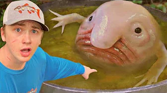 youtube recommendation