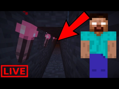 HEROBRINE APPENA AVVISTATO! - MINECRAFT 1.11 (No Mods) - LIVE ITA - HEROBRINE APPENA AVVISTATO! - MINECRAFT 1.11 (No Mods) - LIVE ITA