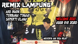 Remix Ldanung Terbaru 2021 Aku Ingin Terbang Tinggi Seperti Elang Ala Bujang Orgen Ldanung