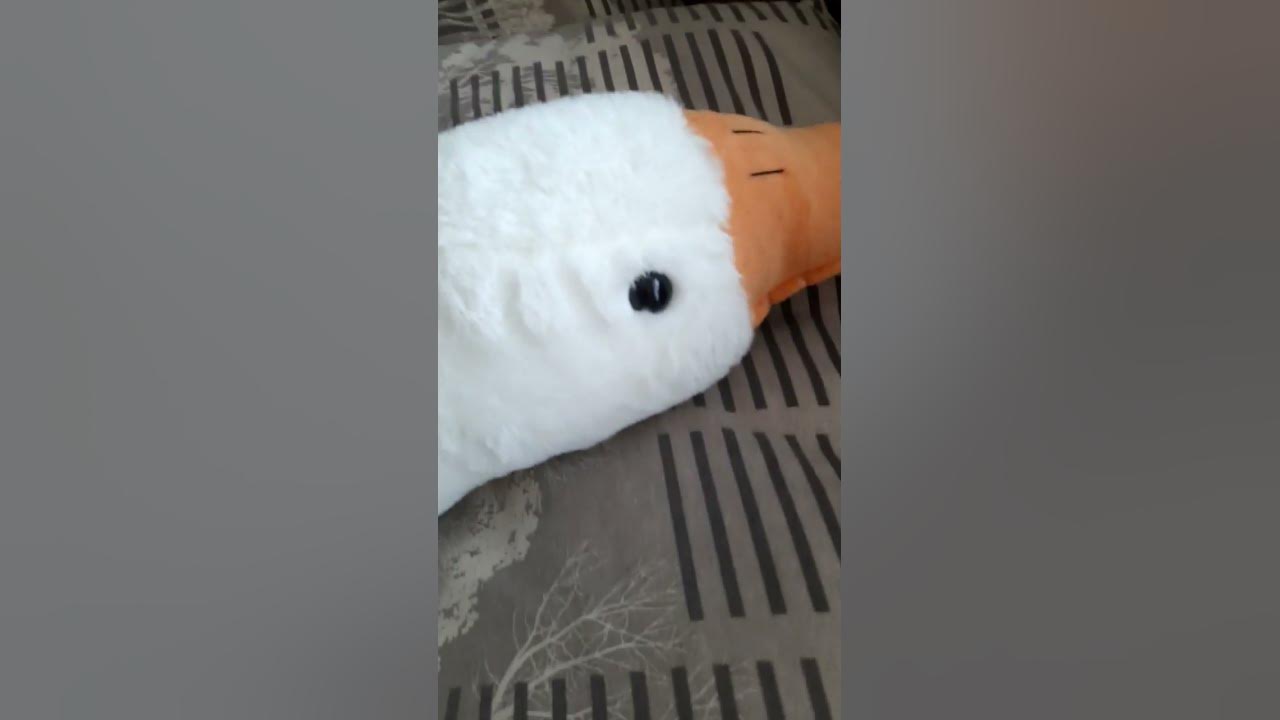 Маленький гусь против большого гуся😂 - YouTube