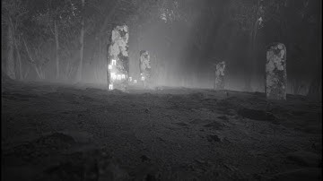 Welcome to 2022 in black & white & in 4:3