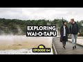 Walking In A Geothermal Wonderland | Wai O Tapu, Rotorua | Reveal NZ Ep.04