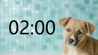 Famous 2 Minute Timer (GOOD PUPPY MUSIC + Sound Notification at Zero) Net Worth