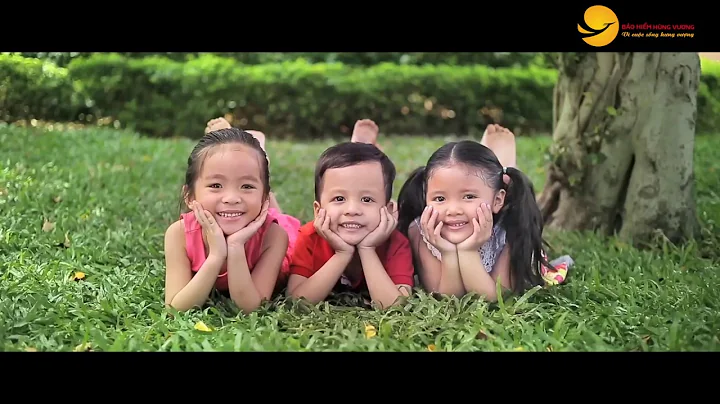 Giới thiệu về Công ty cổ phần bảo hiểm Hùng Vương