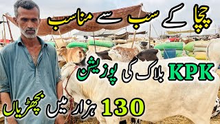 Nothern Bypass Mandi Latest Rate And Bargaining | Latest Update  | Bakra Eid Season 2024