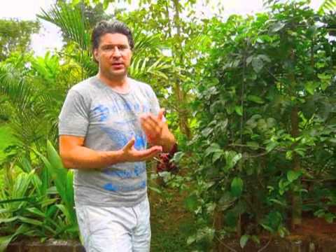 Permaculture in Costa Rica with Claude William Gen...