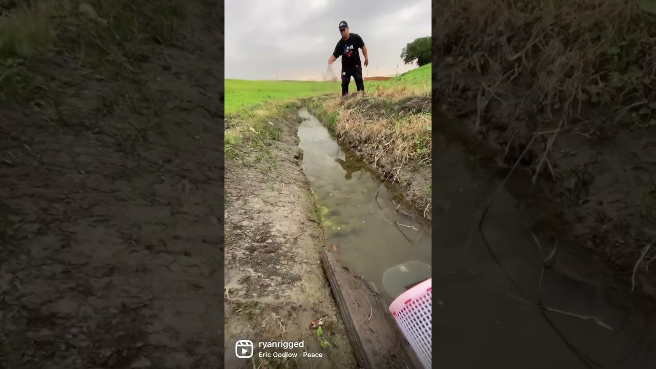 Easy way to get bait FREE! 