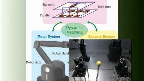 Ultra High-speed Robot Based on 1 kHz Vision System