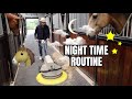 RAINY NIGHT TIME ROUTINE AT OUR STABLES