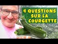 4 trucs pour réussir la courgette au potager !