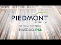 Piedmont Lithium: CEO Discusses Recent Deal with Tesla