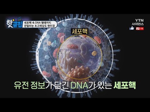 [핫클립] 세포핵 속 DNA 형태까지 관찰하는 초고해상도 현미경 / YTN 사이언스
