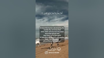 القارئ هزاع الشبلي || سورة #العاديات