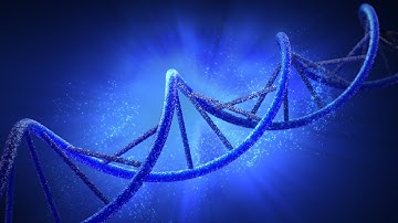 Double Helix Strand of DNA