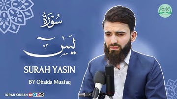 Surah Yasin سورة يس كاملة By Obaida Muafaq بصوت عبيدة موفق