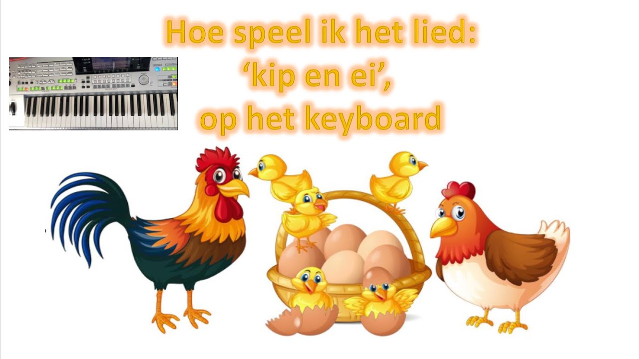 Hoe speel ik het lied: 'kip en ei' van Jeroen Schipper mee op het
